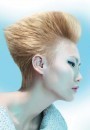 Inoa Loreal Professionnel hairstyle collection fw 2010 2011 Eveolution