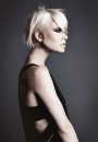 стрижка окрашивание волос Sanke 2011 hair trend hairstyle
