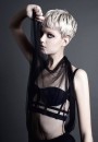 стрижка окрашивание волос Sanke 2011 hair trend hairstyle