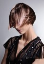 стрижки прически окрашивание волос Intercoiffure hair trend news