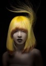 окрашивание волос 2015 яркий цвет Taiwan Technician hair color