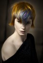 Stafford Hair коллекция стрижек, причесок и окрашиваний волос 2015 Muse