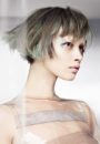 Goldwell Color Zoom 2018 hair collection Elemental